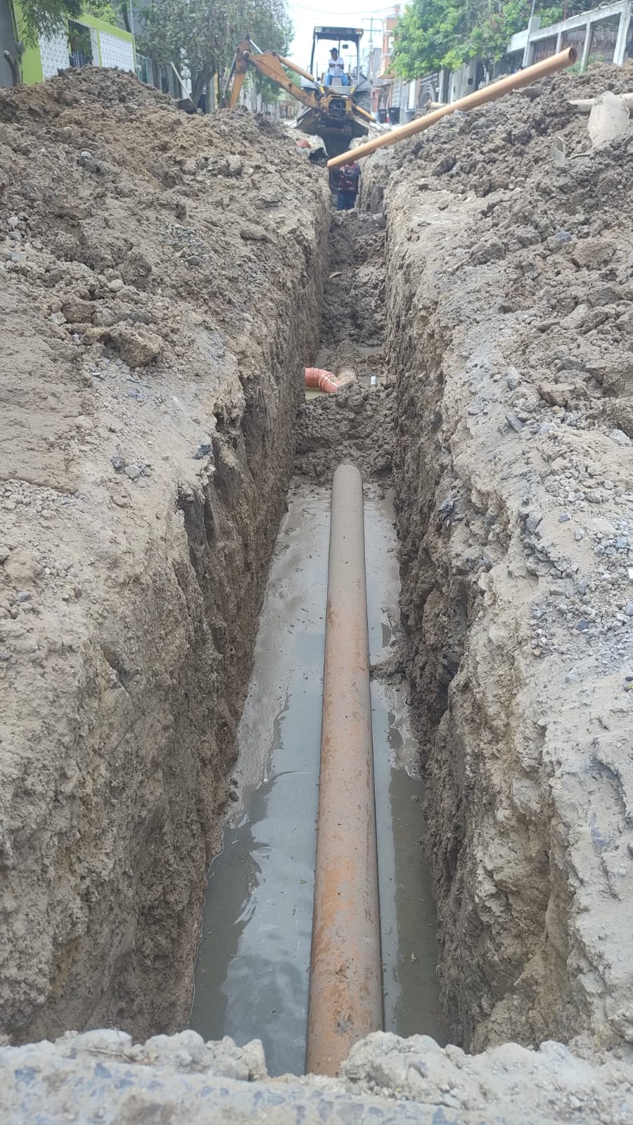 Imagen de la obra